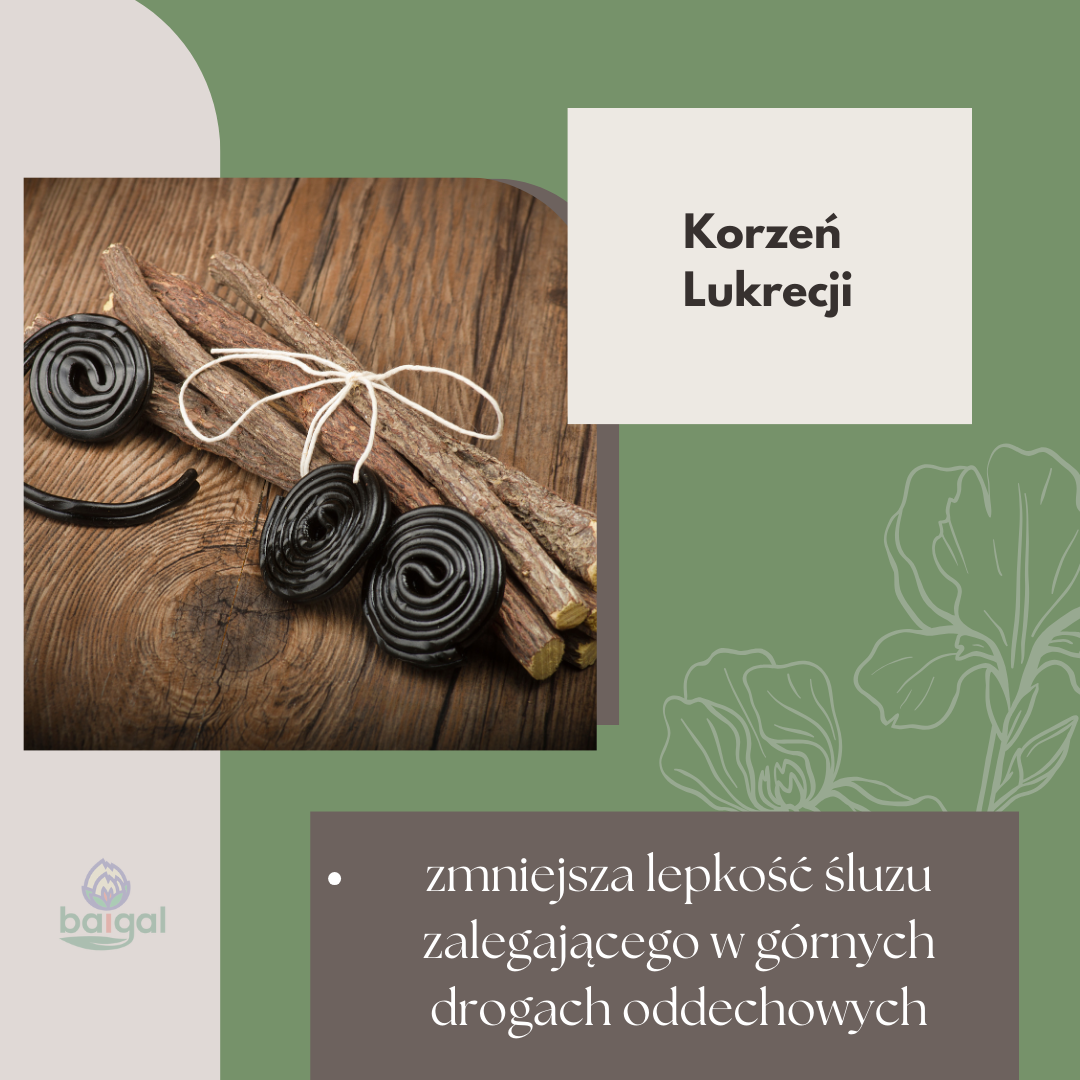 Korzeń lukrecji gładkiej
